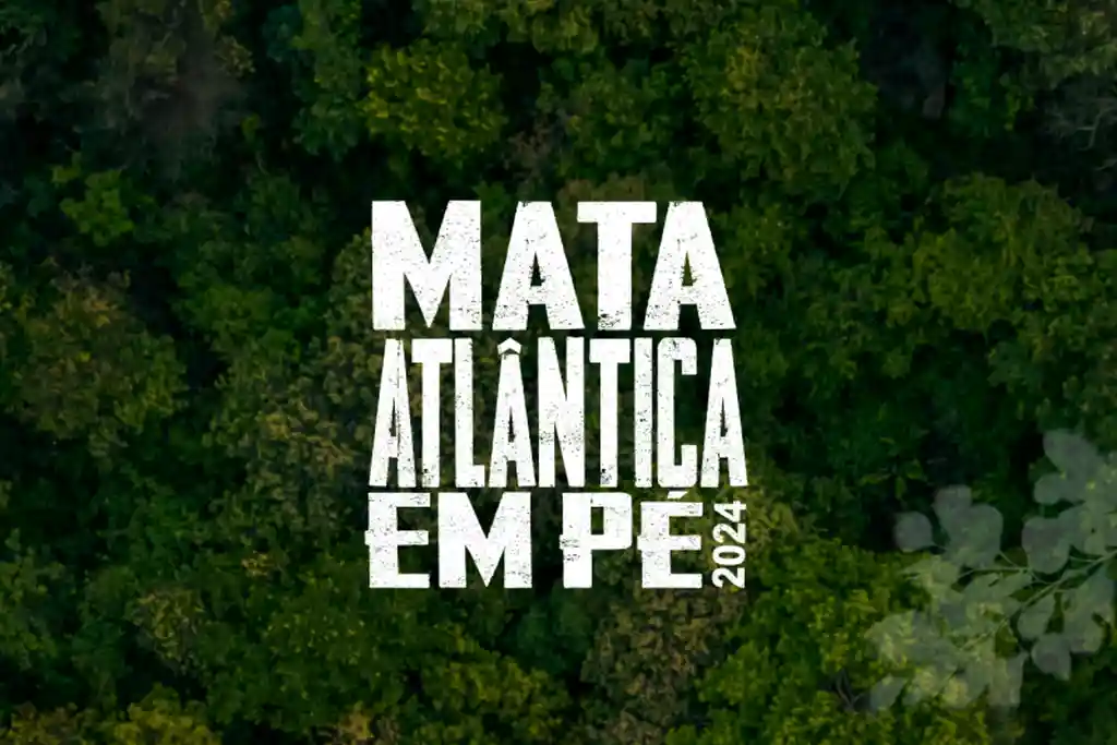 Mata Atlântica em Pé 2024