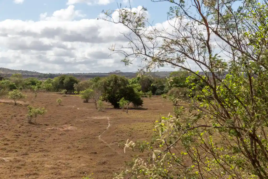 Seca no território sergipano