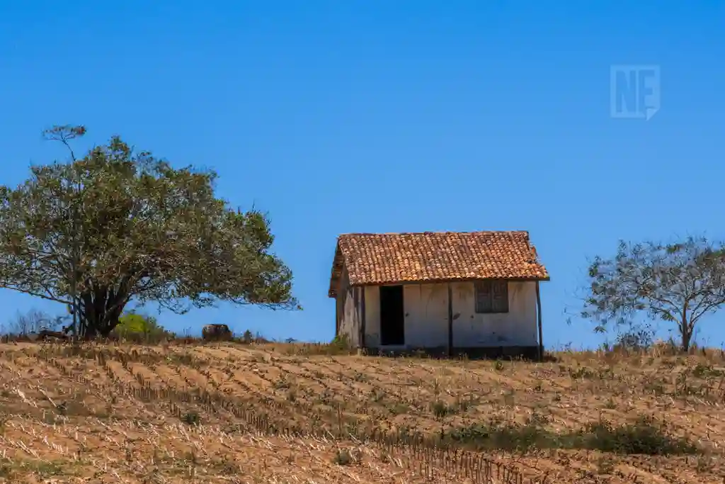 Impactos da seca em Sergipe