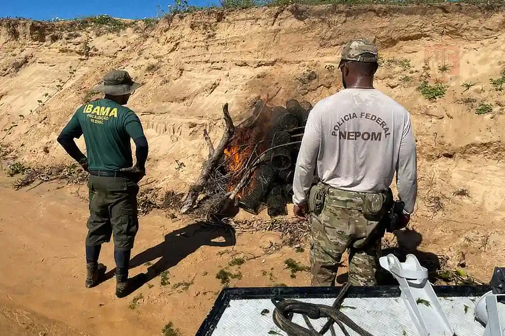 PF e IBAMA concluem fiscalização no Rio São Francisco